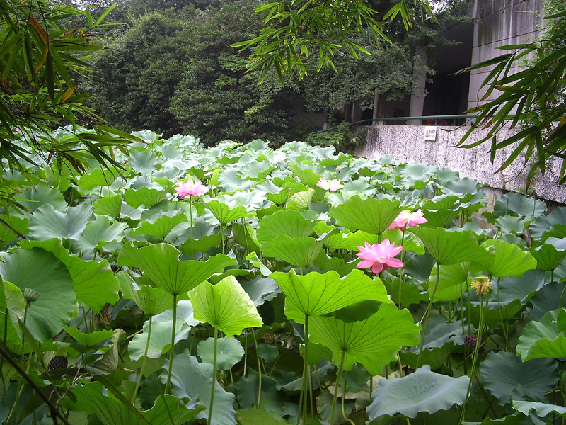 10-day Grand Sichuan Tour